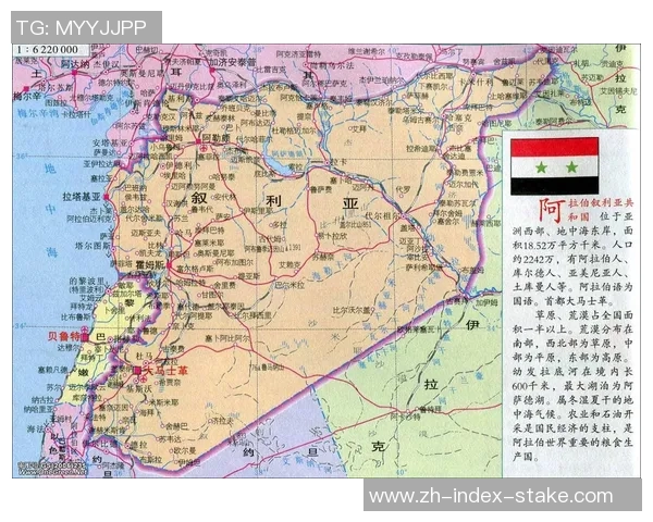 伊朗与叙利亚篮球对决精彩回顾及赛后分析