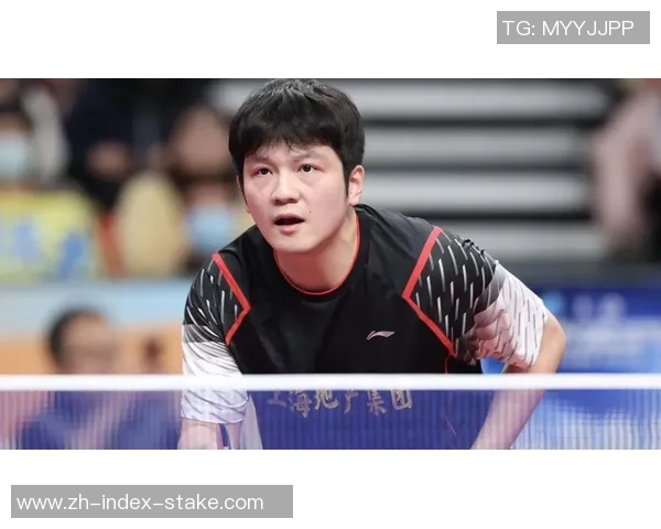 波尔与樊振东巅峰对决乒乓球赛场谁能笑到最后的精彩较量