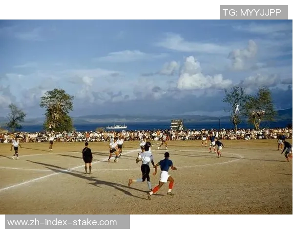 土耳其与塞尔维亚激战正酣足球盛宴引发球迷热情高涨